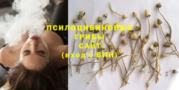 молекула духа Верея