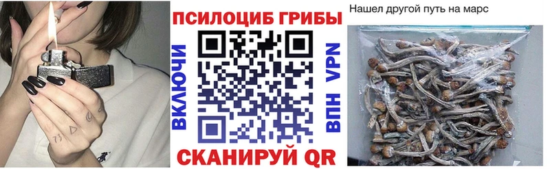 Купить  Кирсанов  Галлюциногенные грибы мицелий 